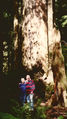 CHAMBLESS, Bob and Lois-01.jpg