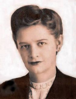 From the Image Collection